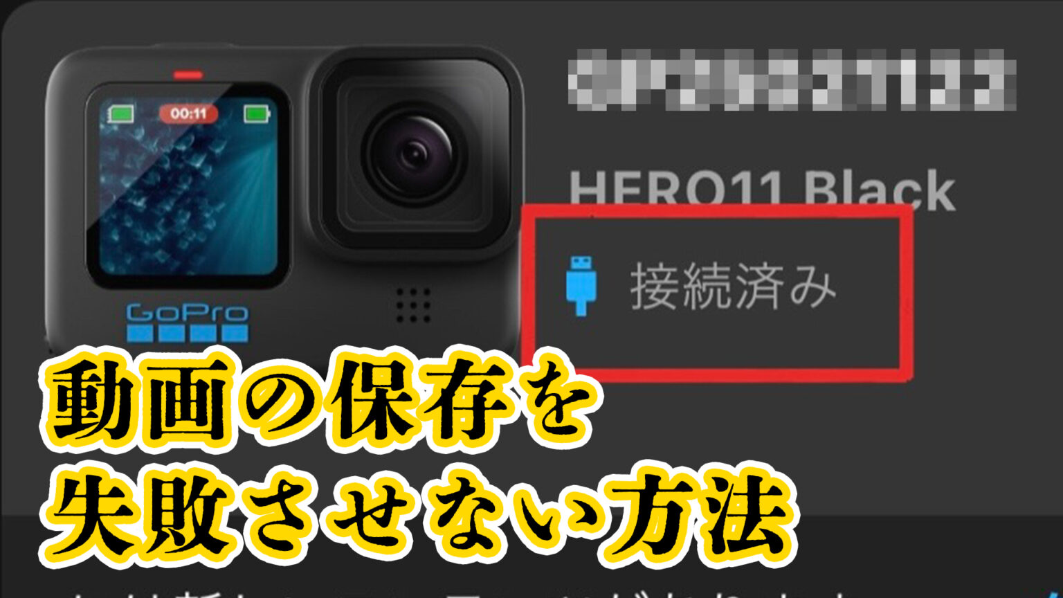 Goproで撮影した動画を保存できない｜データ転送する裏技 リクガメブログ