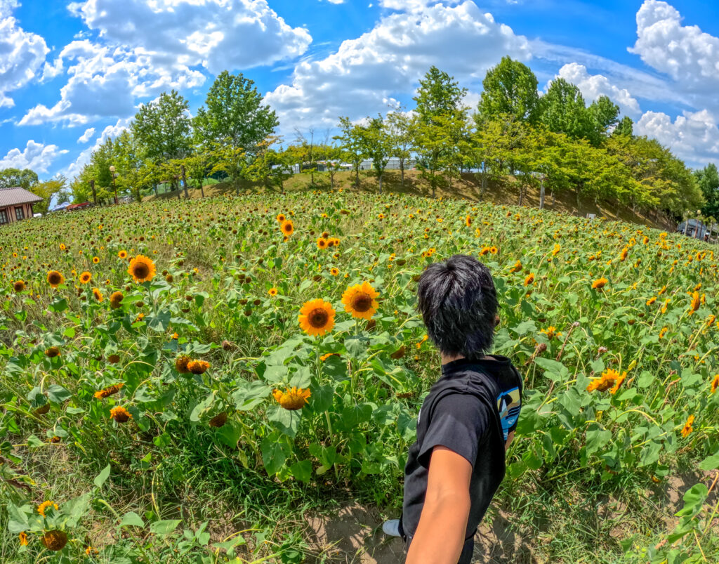 GoPro 写真 映え コツ